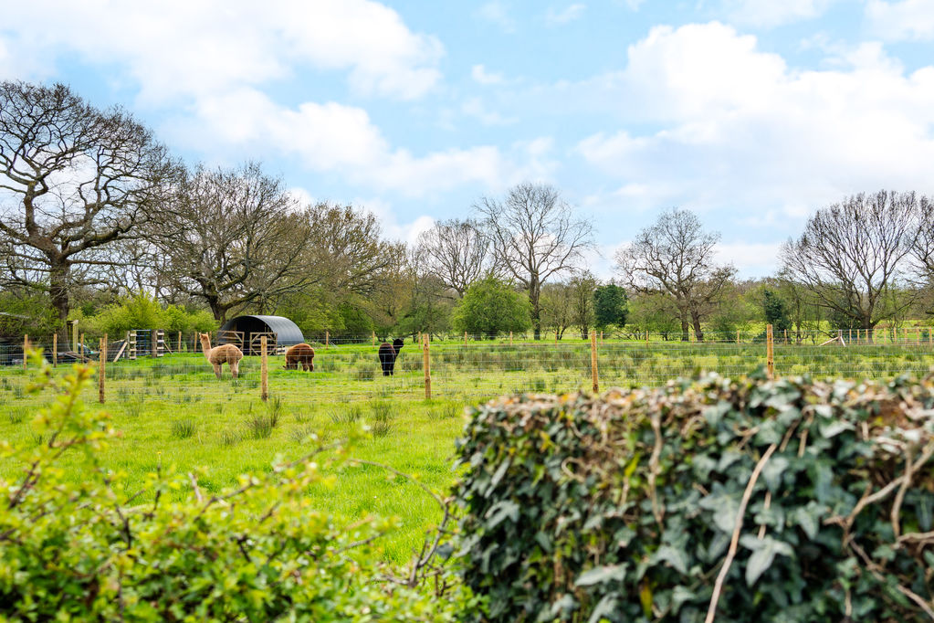 Withington Lane Heskin